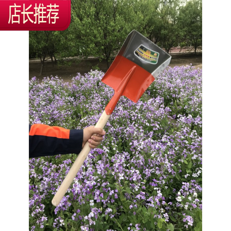 小铁锹家用挖土园艺种花工具小铲子清洁铲小锹小煤铲铲屎铲猫狗JING PING