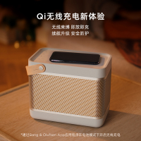 B&O Beolit 20 便携式蓝牙低音炮音箱 丹麦bo迷你大音量户外小音响 室内桌面音响 雾灰色