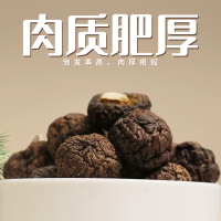 一品爽 珍珠菇100g/罐 金钱菇珍珠菇 南北干货 肉厚味鲜新货
