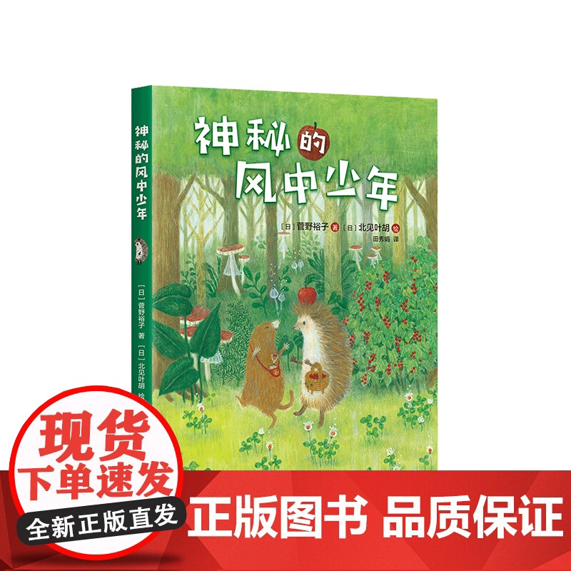 小刺猬奇遇记:神秘的风中少年 童话故事 图文结合 勇气 智慧 善良 欢笑 惊喜 神奇 奇妙 一二三四年级 课外读物 爱高清大图