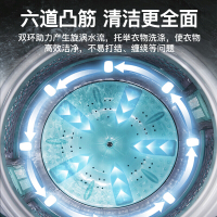 长虹洗衣机全自动免安装家用宿舍迷你智能波轮带甩干机脱水风干节能蓝光洗衣机 7.5公斤（风干型+蓝光洗）