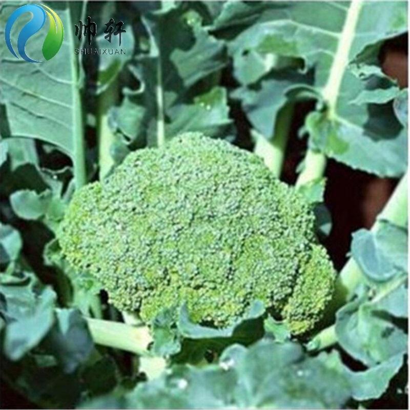 南城首府园艺用品优友蔬菜种子西兰花种子青花菜花椰菜绿菜花彩包种子价 价格图片品牌报价 苏宁易购南城首府园艺旗舰店