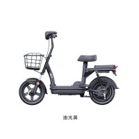 新日 WJ5 新国标电动自行车 48V12Ah 铅酸电池(超威) 成人通用款