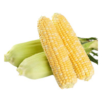 水果玉米5斤 7-9个 甜玉米 新鲜蔬菜 产发QQ