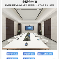 ITC 桌面式无线会议话筒 主席台 TS-W310A 一台