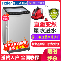 海尔（Haier）XQB90-BZ828 全自动洗衣机 波轮 直驱变频家用9公斤大容量神童海尔波轮洗衣机节能静音企业价