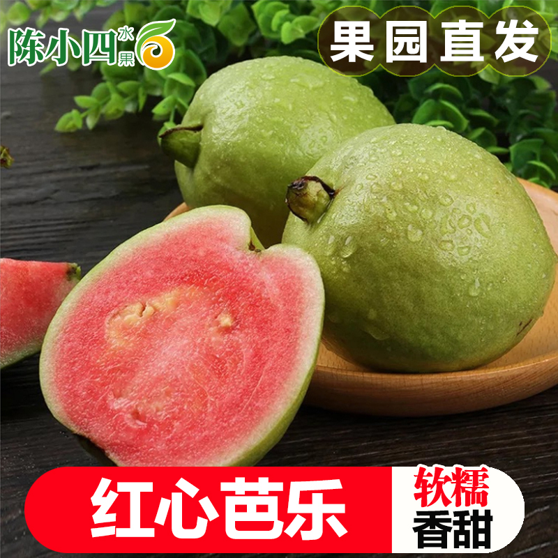 红心芭乐番石榴 5斤 单果150g以上 新鲜水果 胭脂红肉当季特产 陈小四水果