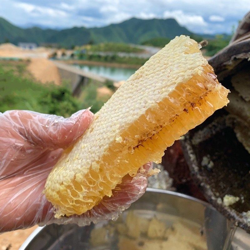 野生蜂巢蜜嚼着吃老巢蜜秦岭农家自产土蜂蜜蜂窝蜜500克瓶装
