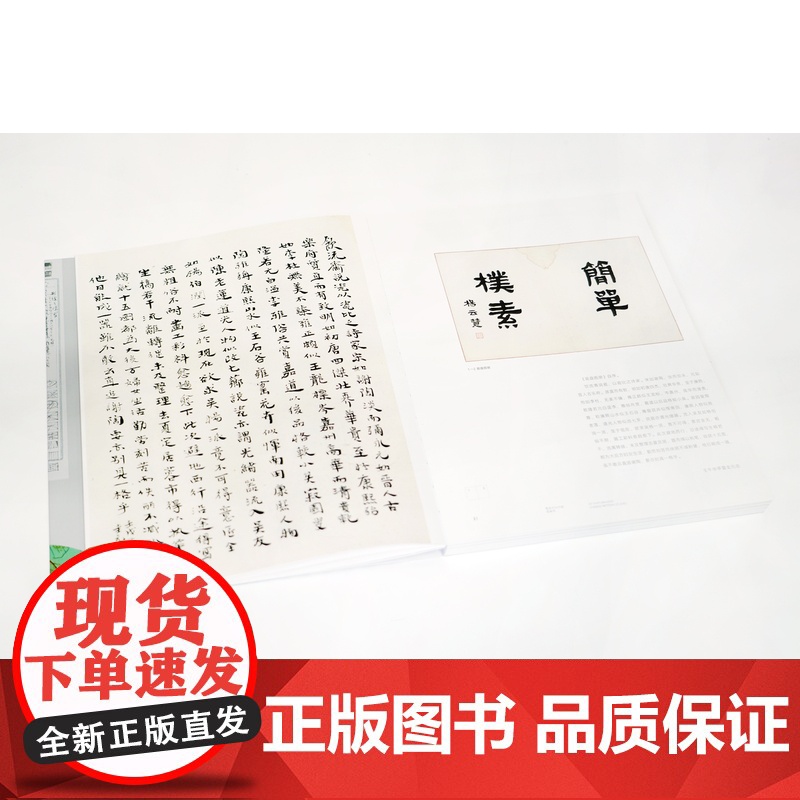 中国现代设计巨匠——雷圭元 中国美术学院出版社 正版新书品牌高清大图
