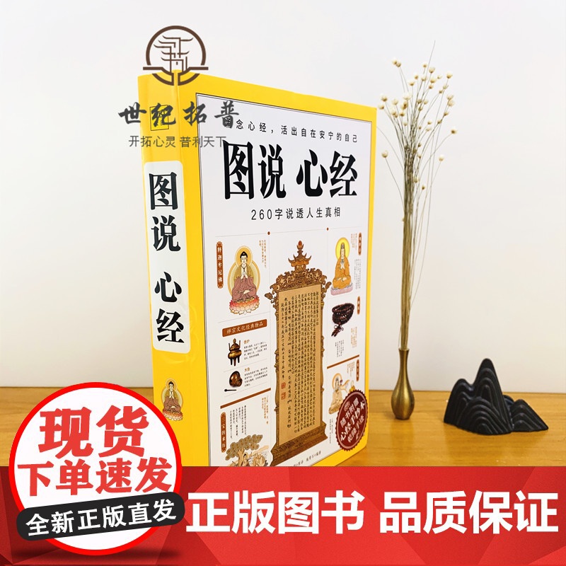 正版 图说心经 说透人生真相 般若波罗蜜多心经大般若经佛法入门书籍图解经典系列佛教金刚经楞严经紫图高清大图