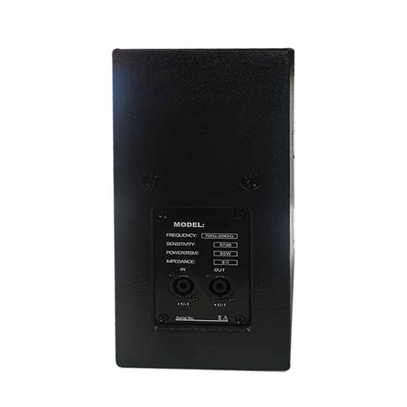 启诺 QN-GH10 10寸全频无源音箱 教学会议培训扩声音箱 250W 黑色高清大图