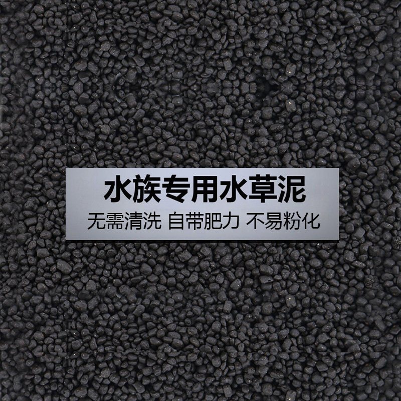 鱼缸造景套餐性水榕沉木真水草淡水无土植物增氧趴地矮珍珠