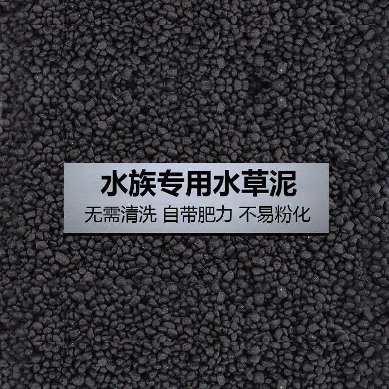 鱼缸造景套餐性水榕沉木真水草淡水无土植物增氧趴地矮珍珠图片