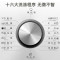 松下(Panasonic) 滚筒洗衣机 10公斤 XQG100-EGASU 双极除螨 95高温除菌 智能烘干