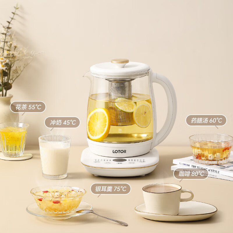 LOTOR浣熊养生壶家用煮茶壶迷你煮茶器多功能花茶壶加厚恒温烧水壶大容量 白色标准款H20