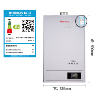 小霸王 DS6009燃气热水器家用10L天然气智能变频恒温特价强排式
