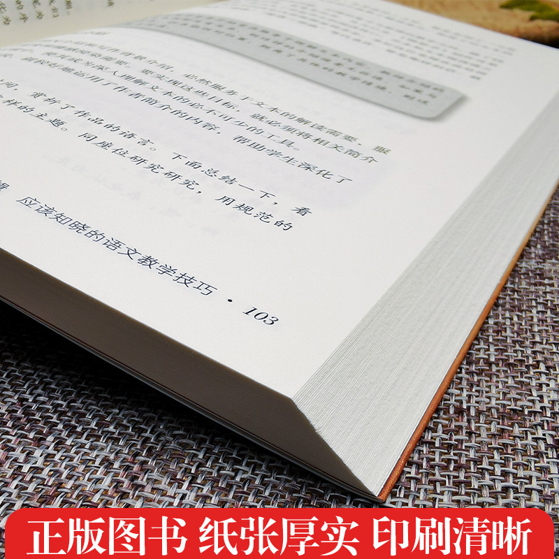 正版 有滋有味教语文 语文教师应知的教学技巧 语文教学培训用书 大夏书系 语文之道 刘祥著 华东师范大学出版社HS 大视