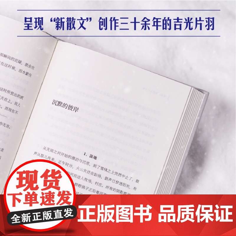 破冰:新散文三十年 故宫学者祝勇主编精选钟鸣于坚冯秋子宁肯张锐锋蒋蓝祝勇周晓枫代表作中国现当代文学上海文艺出版社新散文高清大图