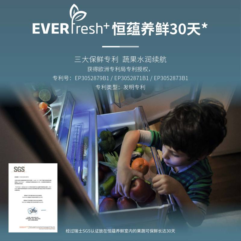 倍科大容量白色玻璃两门冰箱 RCNE560E20HGW