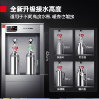 德玛仕DEMASHI 直饮水机 商用学校烧水机 学校用开水器 不锈钢直饮机商用净水器 KS-18LG-2(柜式一开一温)