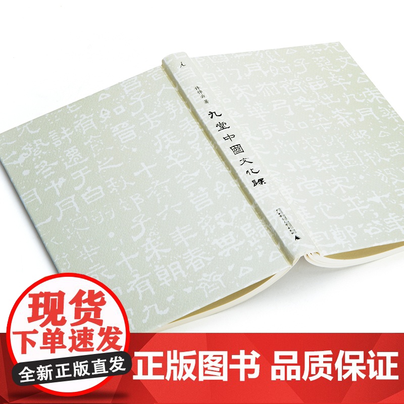 九堂中国文化课 许倬云 中国文化的精神 万古江河 士与中国文化 知识分子 现代化 书 理想国高清大图