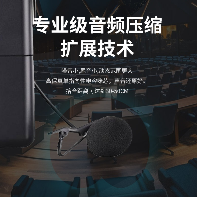 润普Runpu会议音频扩声系统 专业无线一拖四领夹麦克风话筒 UHF红外对频 室内外会议演讲主持RP-UF24L高清大图