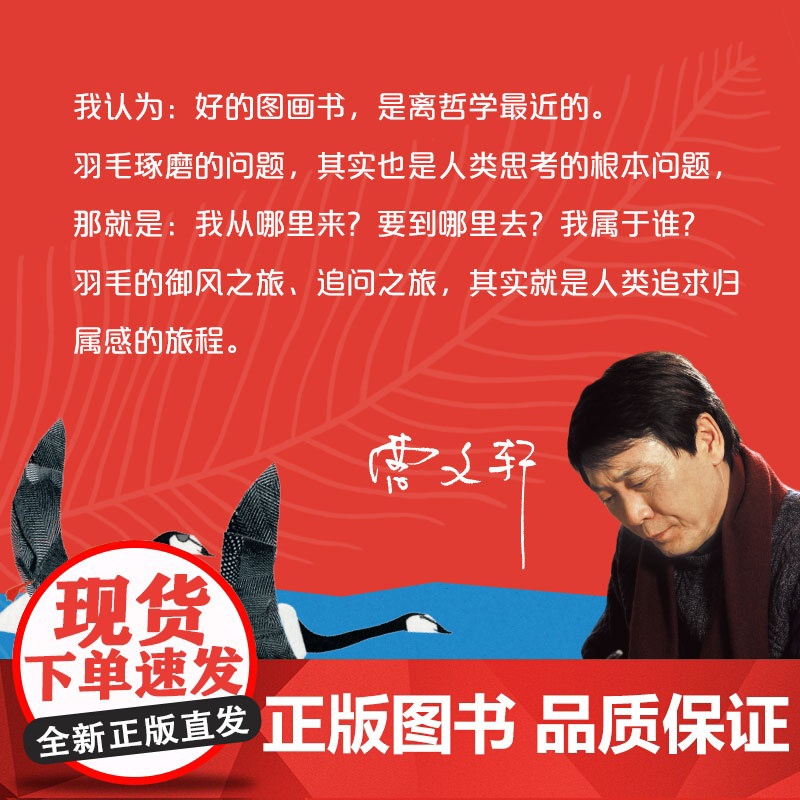 中少阳光图书馆 羽毛高清大图