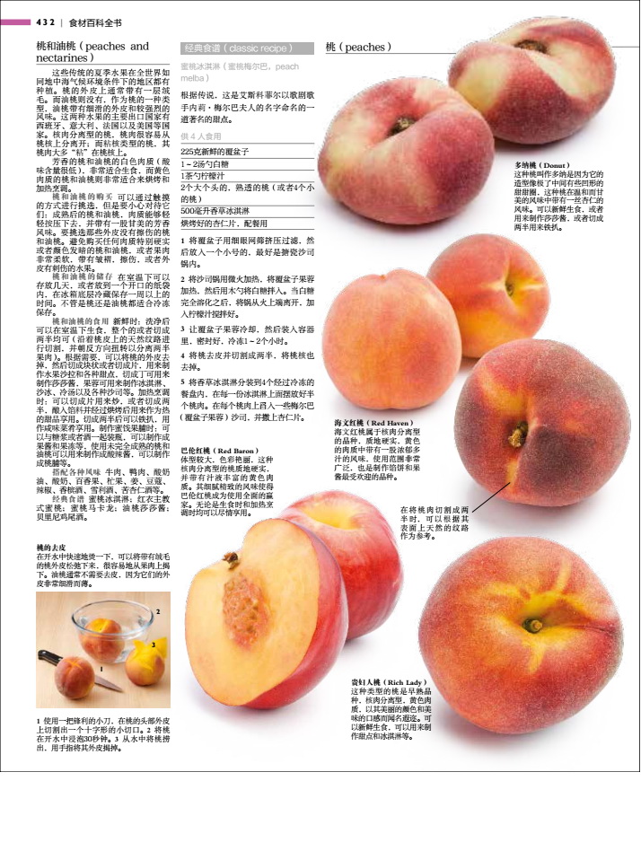 [醉染正版]生活-DK食材百科全书2500种原材料介绍搭配彩图西餐厨师鱼肉蔬菜香料坚果奶酪水果主食粮油调味品高清大图