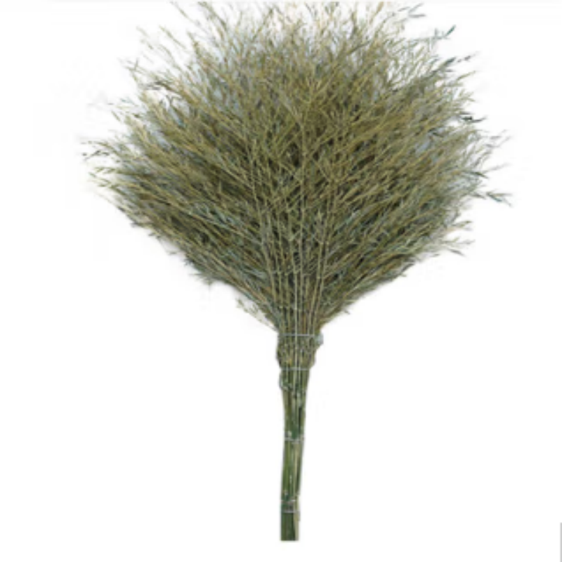 高杨茂诺 竹子扫把 普通款