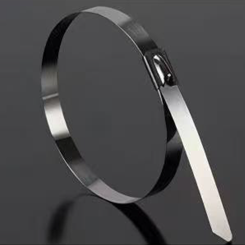 长铁304不锈钢扎带4.6*450mm(50条)高清大图