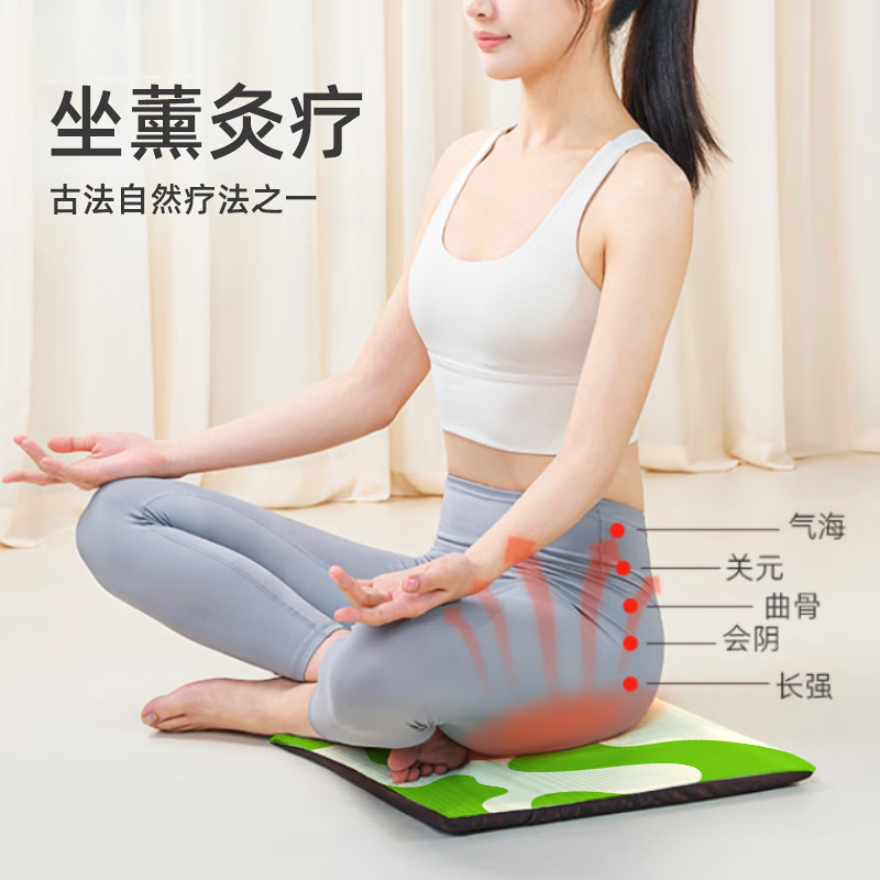 元气达人金丝艾绒电动发热坐垫