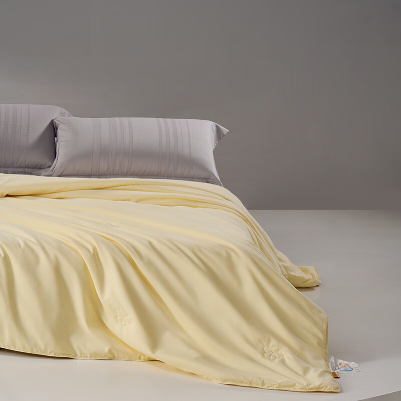 单品-床上用品2:水星家纺水洗蚕丝被200cm×230cm高清大图