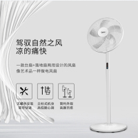 美的(Midea) 电风扇 FS40-18BR 家用落地扇客厅台地扇 轻触式按键方式遥控版控制方式摇头送风方式