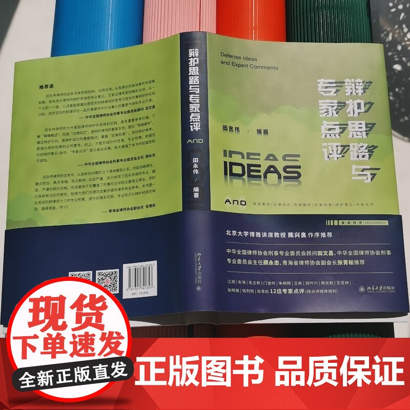 正版 辩护思路与专家点评 田永伟编著 陈兴良张明楷 周光权 车浩老师等点评 危险驾驶骗取贷款非法吸收公众存款高清大图