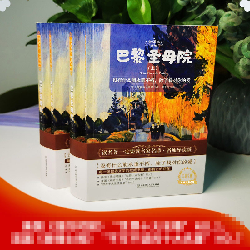 巴黎圣母院书2册 [正版]精装 巴黎圣母院书2册 雨果 青少年课外阅读高中经典文学小说集名著书籍排行榜初中生课外书名