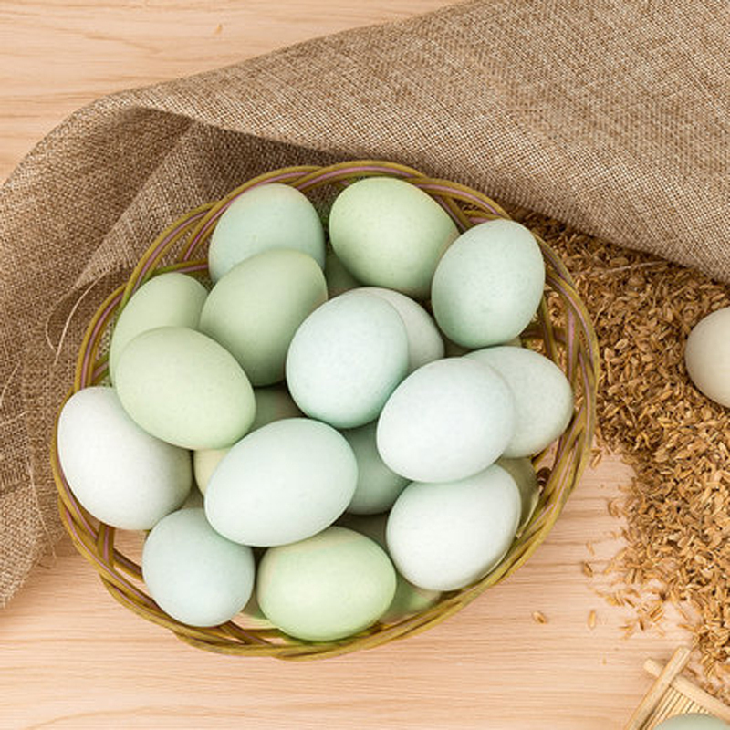 [西沛生鲜]新鲜虫草乌鸡蛋 10枚 散养土鸡蛋 柴鸡蛋笨鸡蛋草鸡蛋整箱高清大图