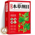 【醉染正版】本草纲目 正版李时珍 全彩图解白话文典藏版 中医基础理论中医书籍大全经典药方医药大全养生中草药全图鉴倪海倪