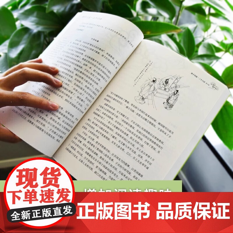 [正版新书] 孙子兵法三十六 生僻字注音+注释+注解 插图青少版 小升初 中考配套阅读 9-15岁孩子更易读懂民主与建设高清大图