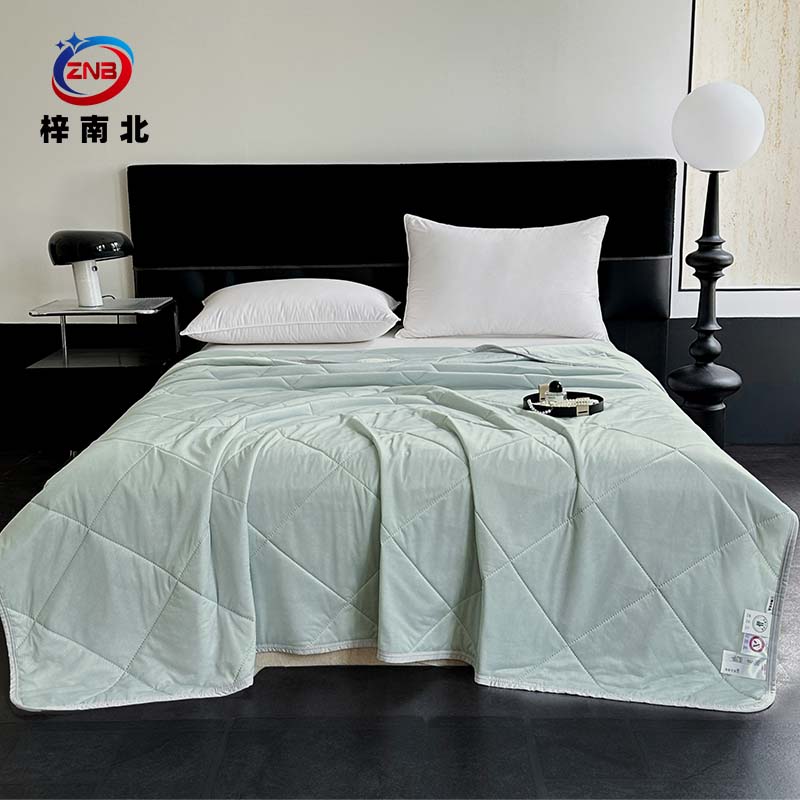 梓南北 抑菌凉感丝夏被空调被 200*230cm 条高清大图
