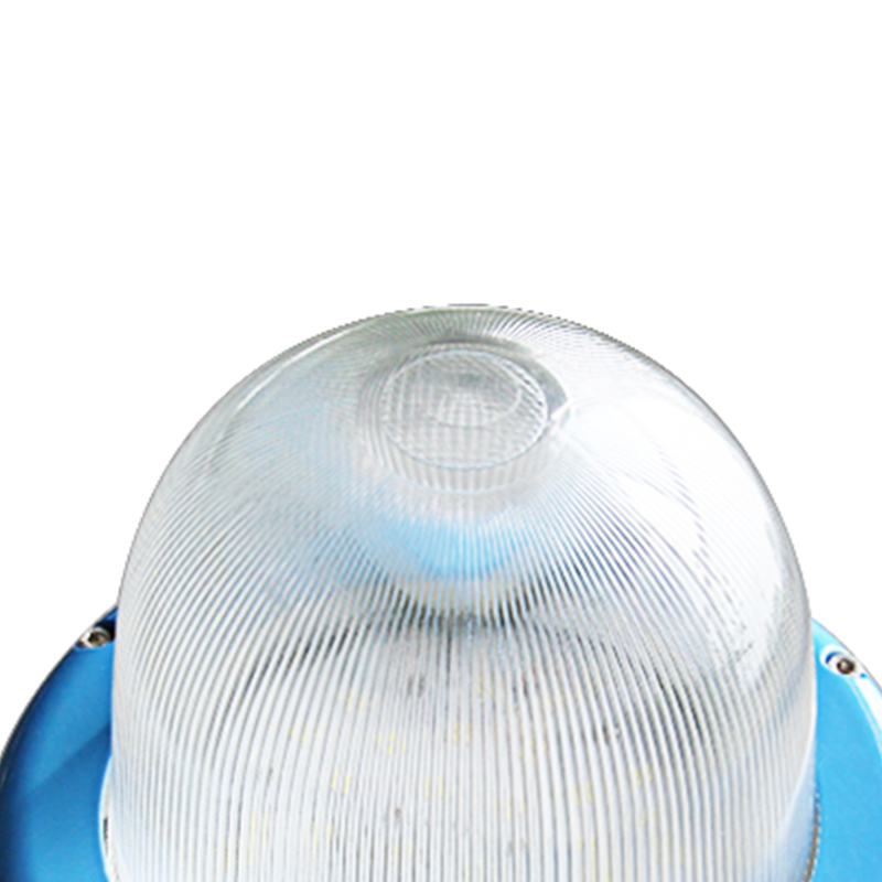 瑞氪维尔Raxwell 防爆平台灯 100W 吸顶式 RLBP1032 个高清大图