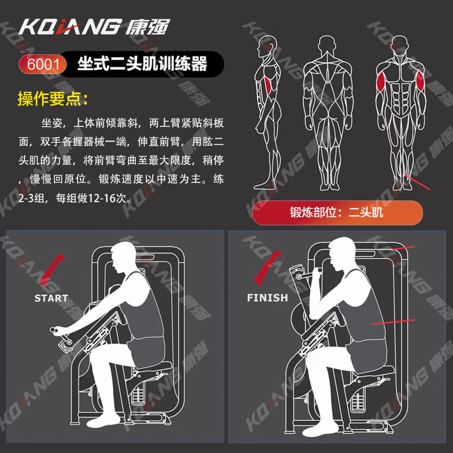 康强坐式二头肌训练器6001商用健身器材健身房团购综合训练器高清大图