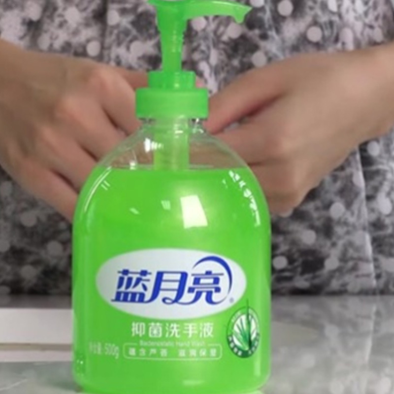 蓝月亮 bluemoon 芦荟抑菌洗手液 500g/瓶 12瓶/箱