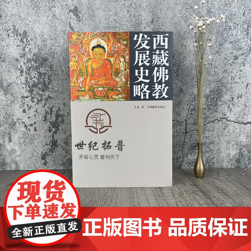正版 西藏佛教发展史略 王森/著 中国藏学出版社高清大图