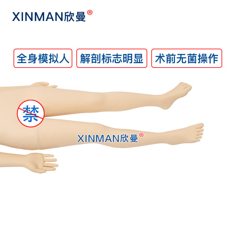 欣曼科教 高级全身术前无菌消毒铺巾操作训练模型 手术前准备模拟人 XM-LV19B高清大图