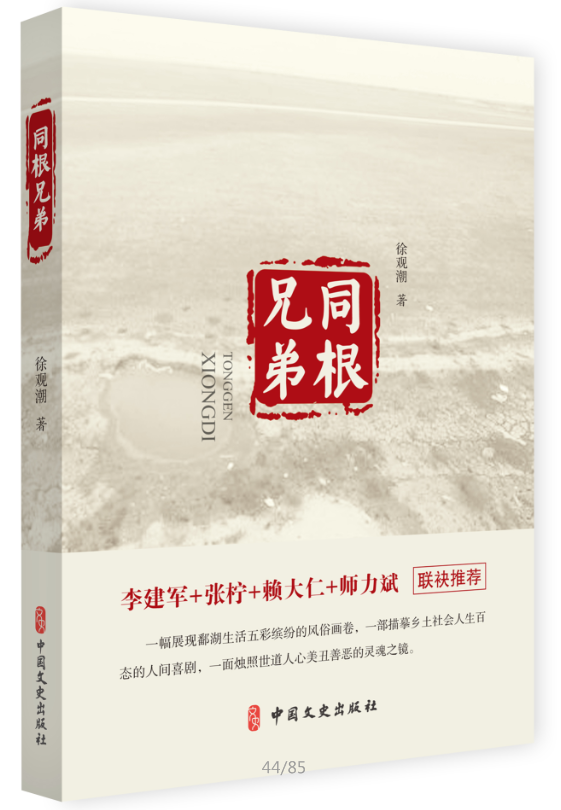 [正版]同根兄弟 徐观潮 著 短篇小说小说集文学书籍中国现当代文学阅世乡土怀旧灵异现当代文学艺术书籍文学作品人性小说人生高清大图