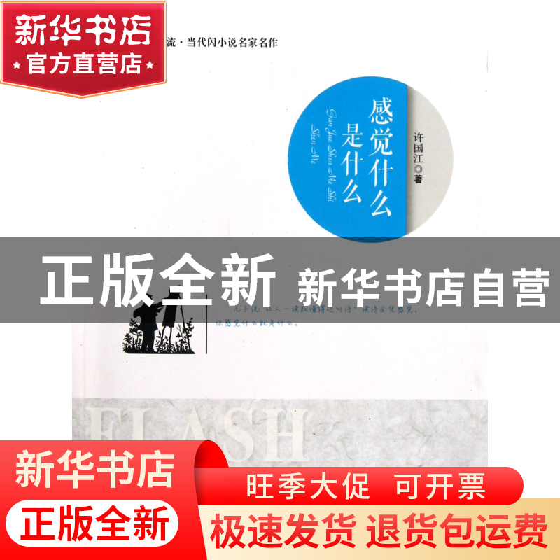 正版 感觉什么是什么/阅读新潮流当代闪小说名家名作 许国江 北京高清大图