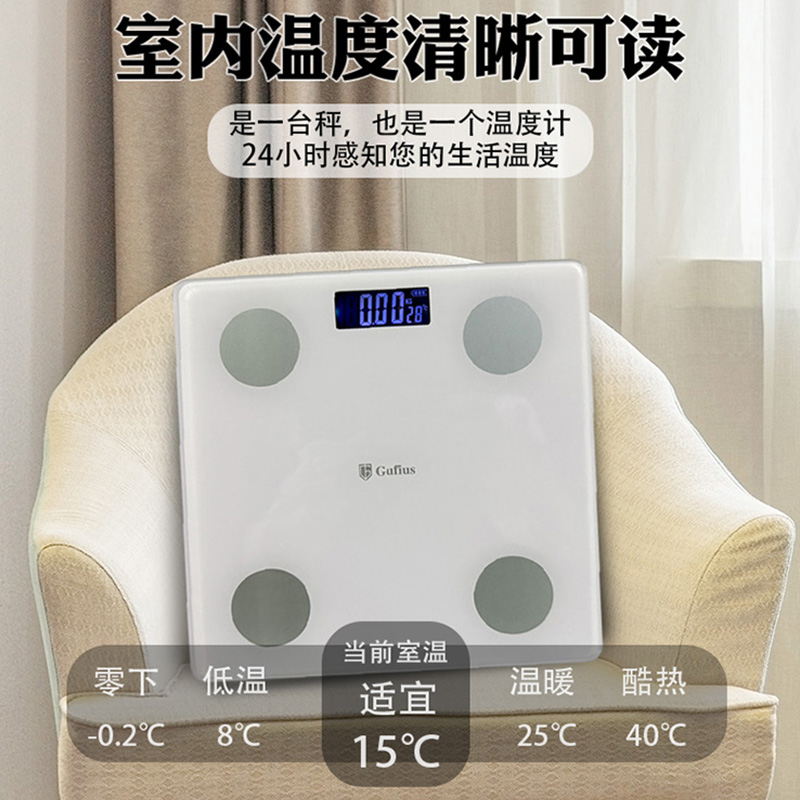古菲斯体脂秤GFTZ-8012高清大图