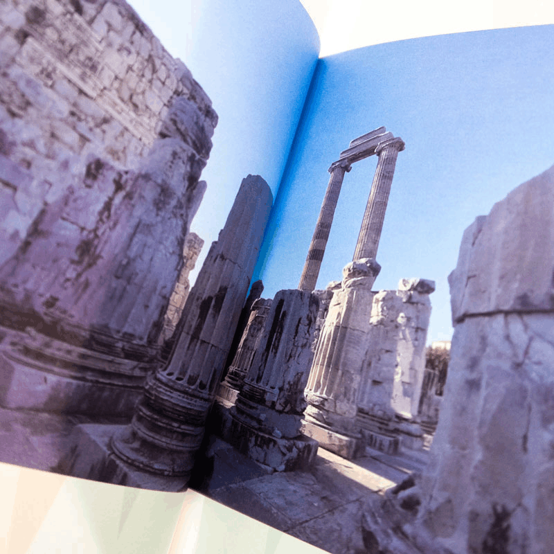 [M]裂土称王 继业者战争与希腊化时代-9787522808451图片
