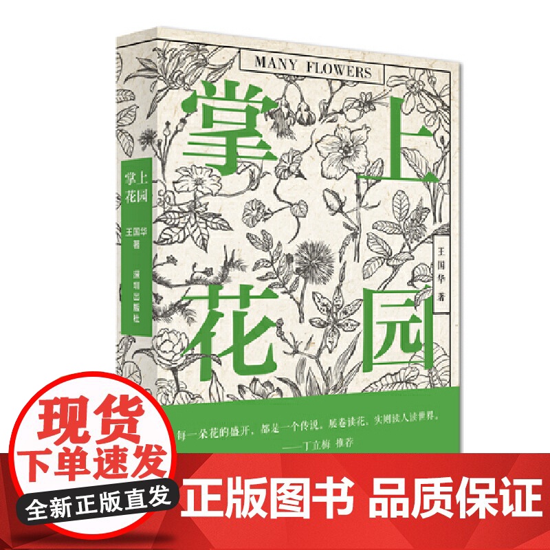 掌上花园 笔下的花或活泼,或沉郁,或淡然,或跳脱,成了一个个有灵性的 王国华 深圳出版社有限责任公司 正版书籍高清大图