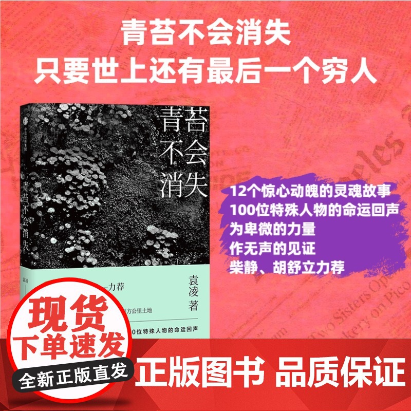 青苔不会消失 袁凌著 只要世上还有一个穷人 袁凌 著 柴静、胡舒立 12个惊心动魄的灵魂故事 现代文学书高清大图